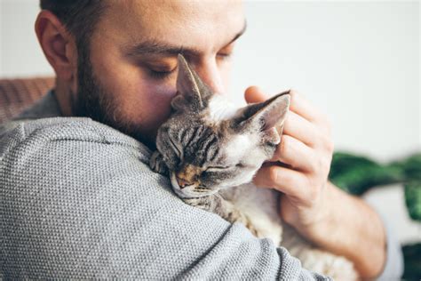 Is it OK to hug a stray cat?