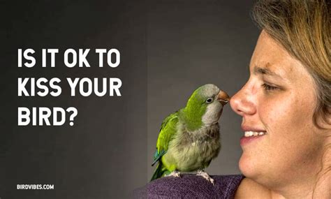 Is it OK to kiss a bird?