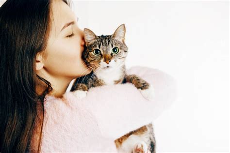 Is it OK to kiss a cat on the head?