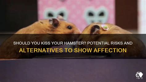 Is it OK to kiss your hamster?