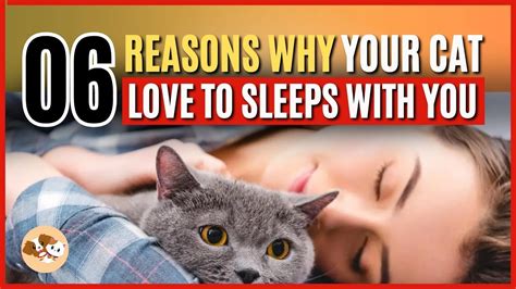 Is it OK to let your cat sleep with you?