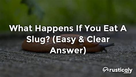 Is it OK to lick a slug?