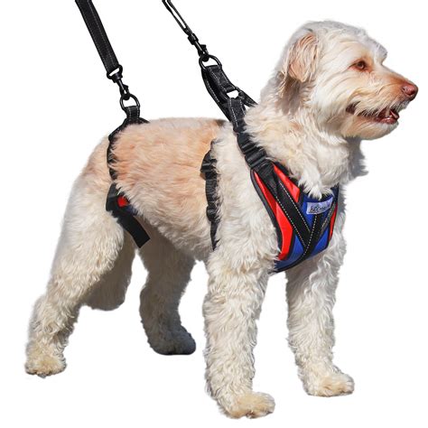 Is it OK to lift a dog by the harness?