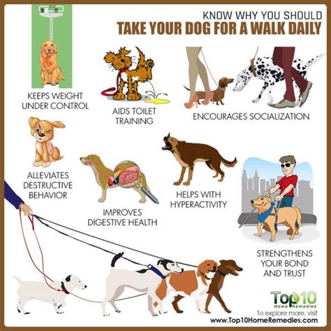 Is it OK to not walk your dog every day?