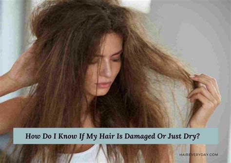 Is it OK to oil dry hair everyday?