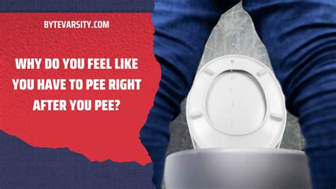 Is it OK to pee right after ejaculating?