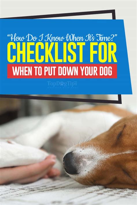 Is it OK to pin your dog down?