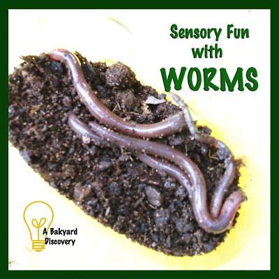 Is it OK to play with worms?