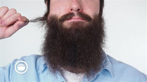 Is it OK to pull your beard?