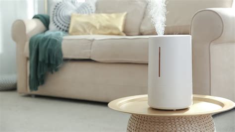 Is it OK to put essential oils in humidifier?