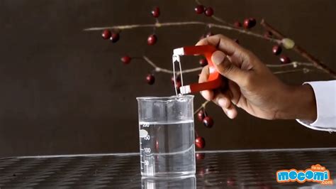 Is it OK to put magnets in water?