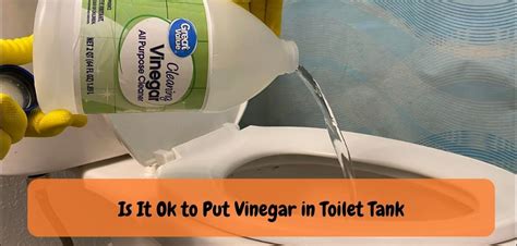 Is it OK to put vinegar in toilet?