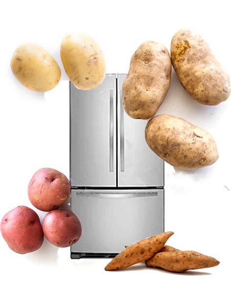 Is it OK to refrigerate potatoes?