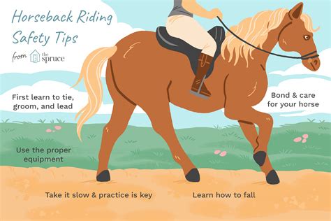 Is it OK to ride horses?