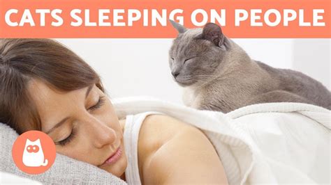 Is it OK to sleep near a cat?