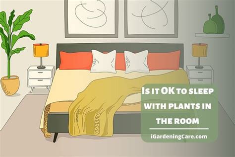 Is it OK to sleep next to plants?