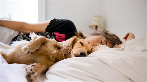 Is it OK to sleep with dog?