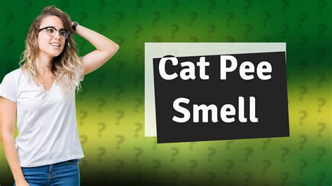 Is it OK to smell cat pee?