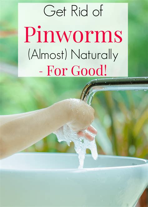 Is it OK to touch pinworms?