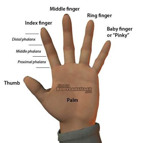 Is it OK to use index finger for C?