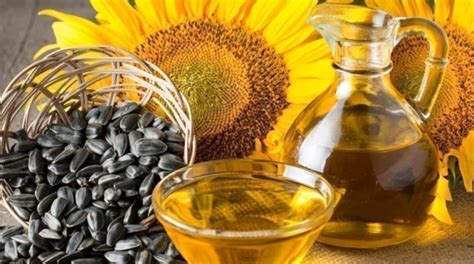 Is it OK to use sunflower oil everyday?