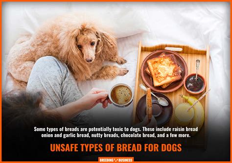 Is it bad for dogs to eat bread?