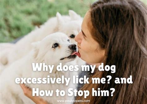 Is it bad if I don't let my dog lick me?