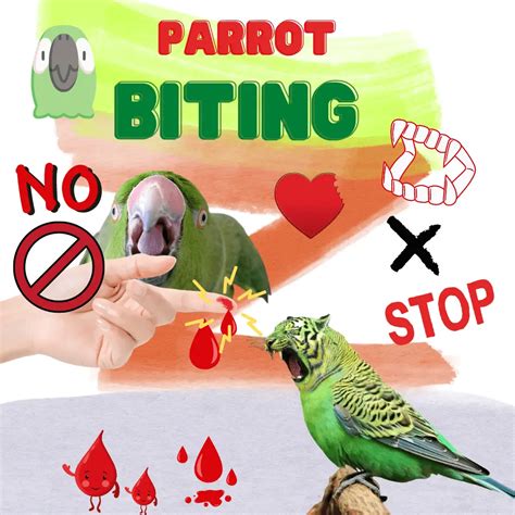 Is it bad if a parrot bites you?