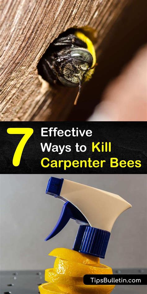 Is it bad killing bees?