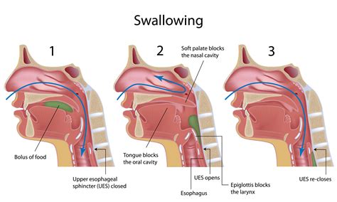Is it bad to constantly swallow saliva?