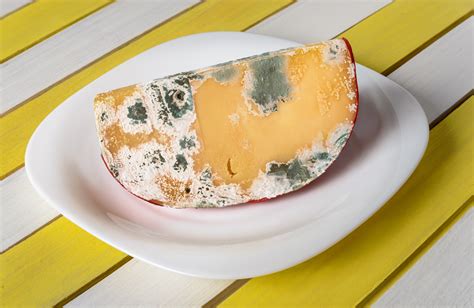 Is it bad to eat moldy feta cheese?