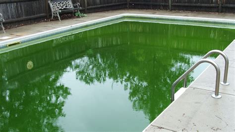 Is it bad to leave a pool green?