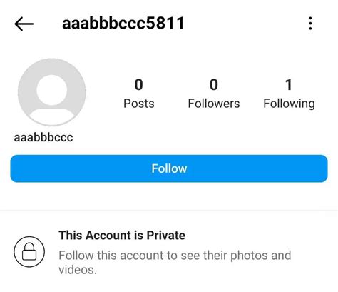 Is it bad to let fake Instagram accounts follow you?