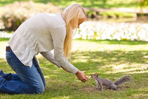 Is it bad to touch a squirrel?