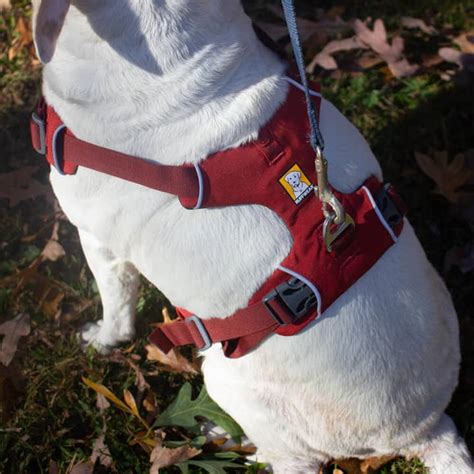 Is it bad to yank dog harness?