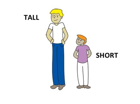 Is it better to be tall or short?