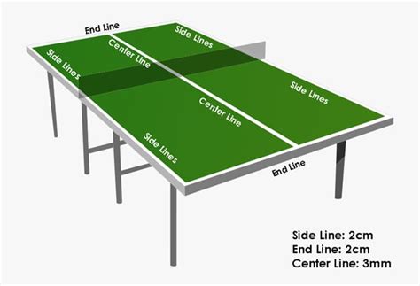 Is it better to be tall or short for table tennis?