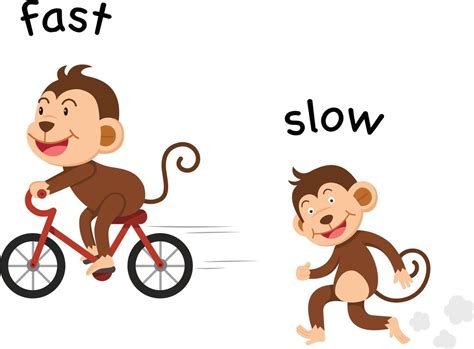 Is it better to break slowly or quickly?
