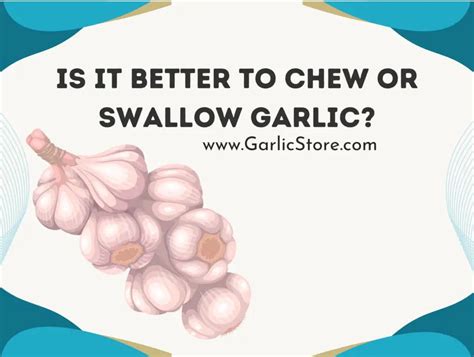 Is it better to chew or swallow garlic?