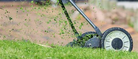 Is it better to cut grass before or after rain?