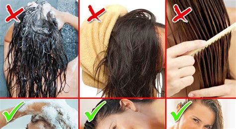 Is it better to cut hair clean or dirty?