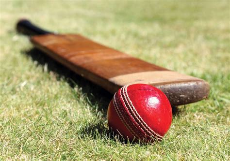 Is it better to have a lighter or heavier cricket bat?
