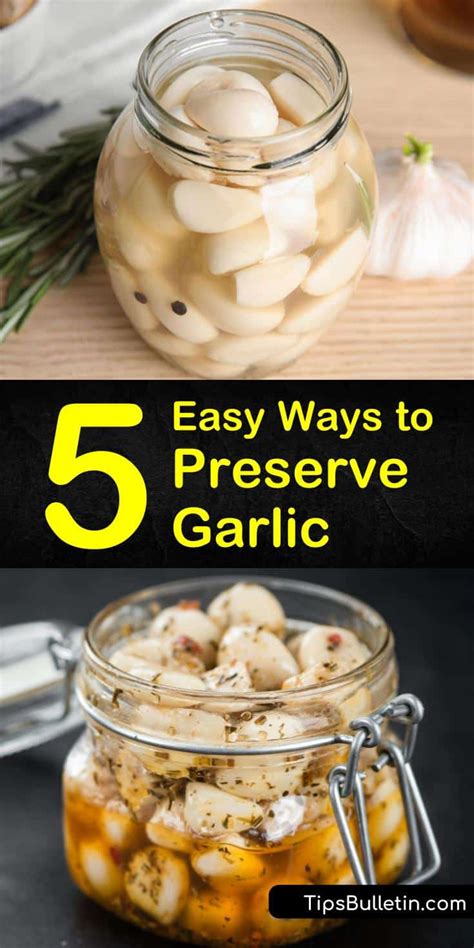 Is it better to preserve garlic in oil or vinegar?