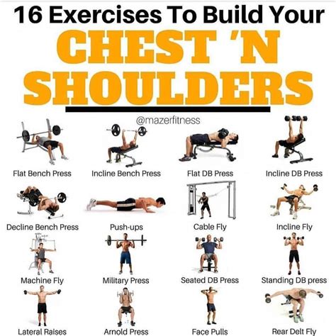 Is it better to start with shoulders or chest?