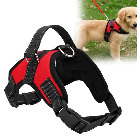Is it better to walk your dog with a collar or harness?
