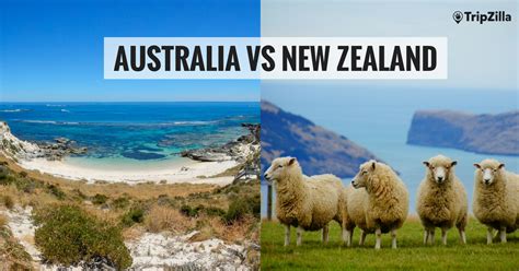 Is it cheaper to travel in Australia or New Zealand?