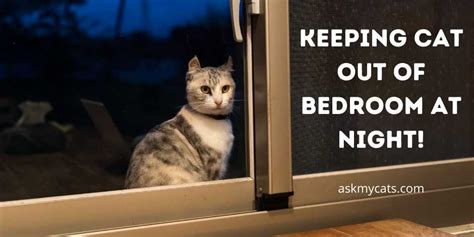 Is it cruel to keep cat out of bedroom?