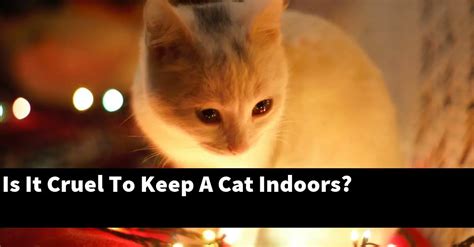 Is it cruel to keep cats indoors?