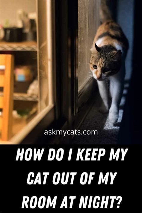 Is it cruel to keep my cat out of my room?