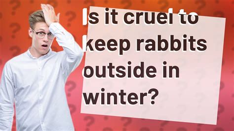 Is it cruel to keep rabbits outside?